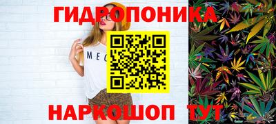 СК Кандалакша