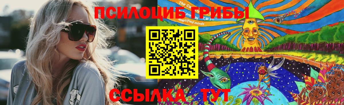 Лосино-Петровский  Псилоцибиновые грибы прущие грибы  Галлюциногенные грибы MAGIC MUSHROOMS  Вход с VPN 