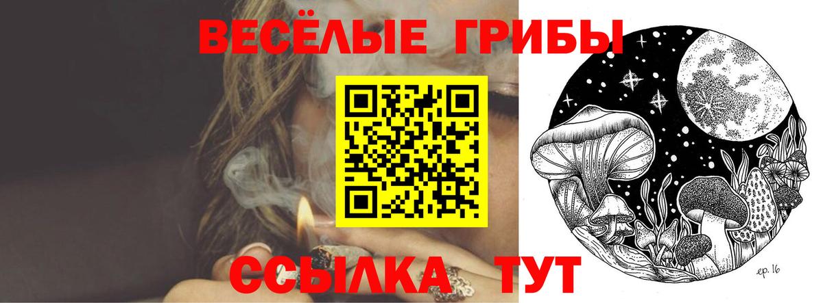 Псилоцибиновые грибы MAGIC MUSHROOMS Лосино-Петровский